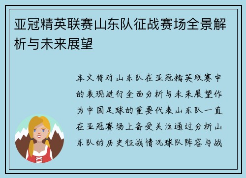 亚冠精英联赛山东队征战赛场全景解析与未来展望